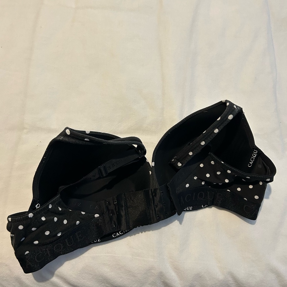 Cacique Cotton Boost Plunge Underwire bra
Black with white polka dots - Picture 2 of 3